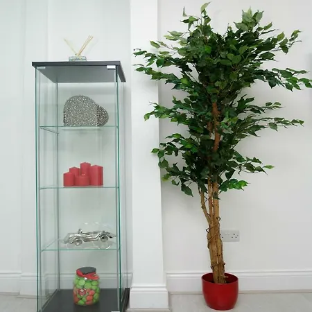 Ivy House Holiday home *